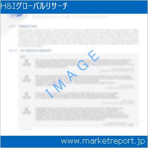 市場と産業調査レポートのイメージ